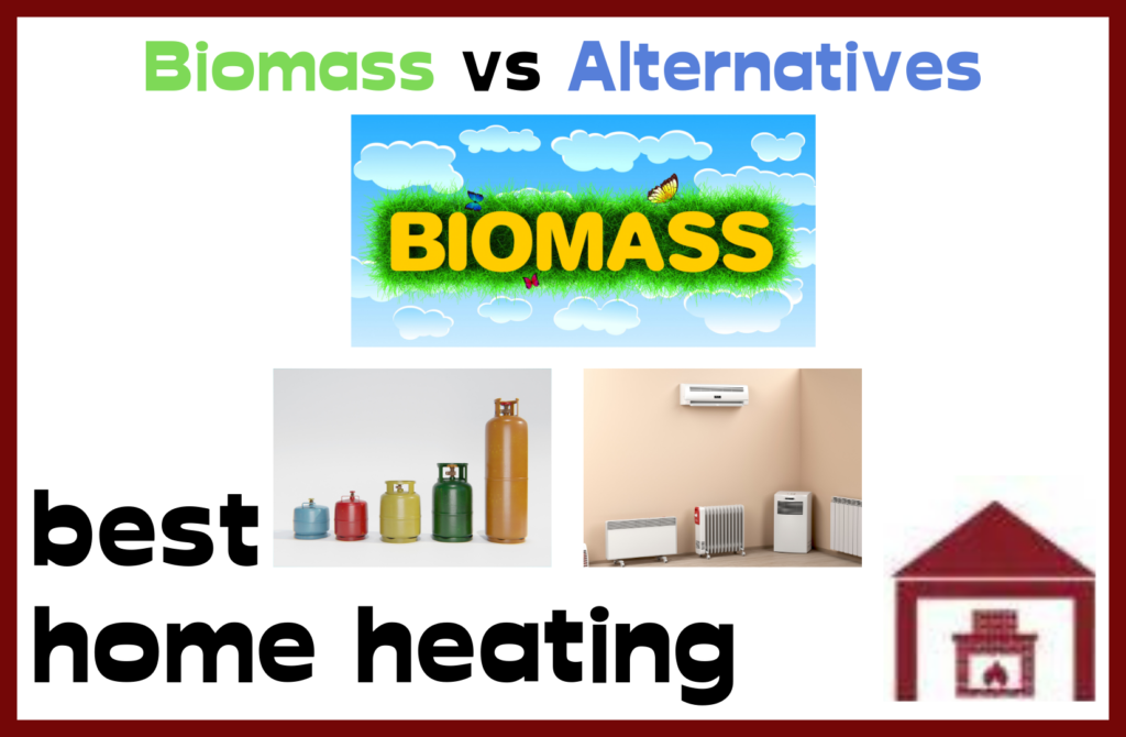 Biomass heating vs alternatives