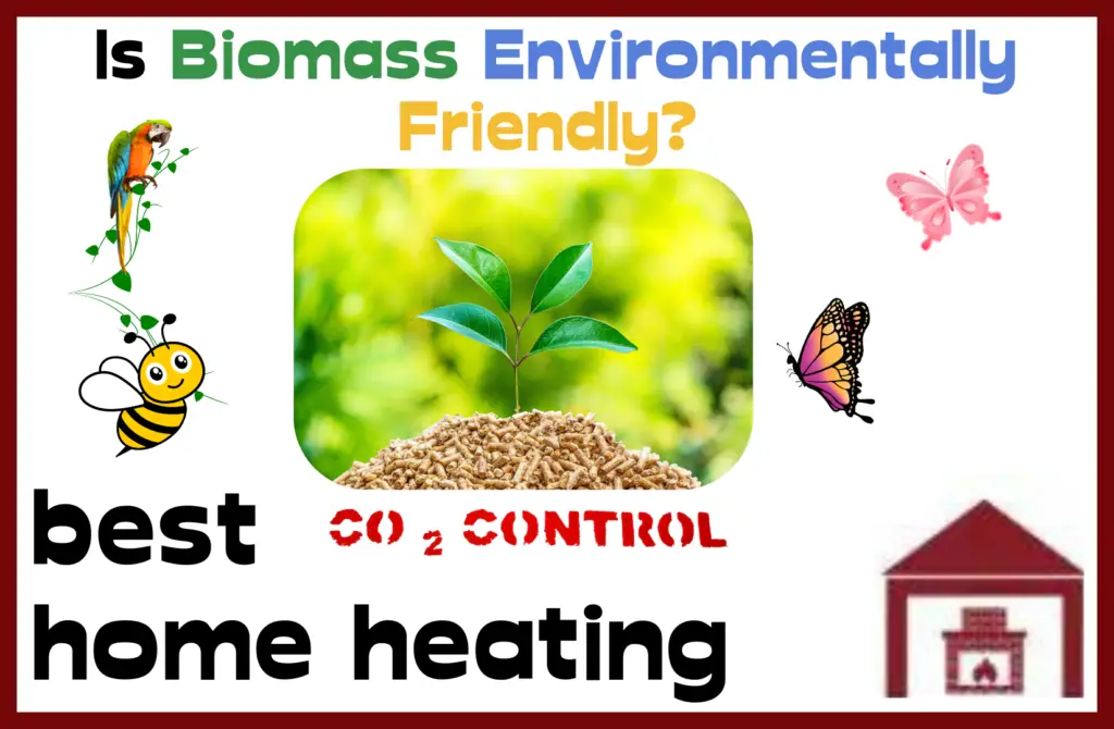 is biomass environmentally friendly