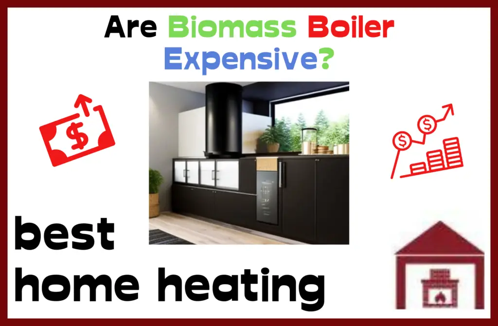 are biomass heating expensive